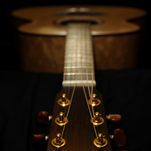 小孩半夜喂姐姐吃睾丸
